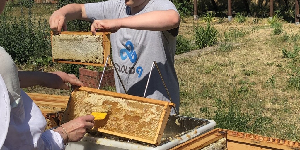 Velten läuft - Bienenprojekt